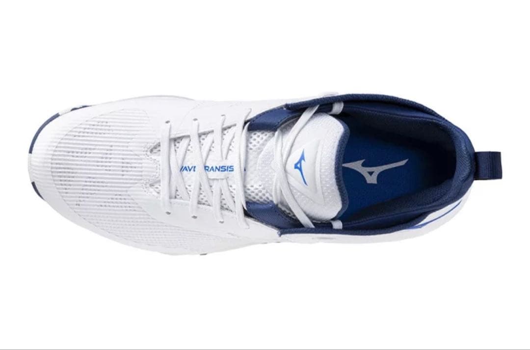 Mizuno Wave Momentum バッシュ