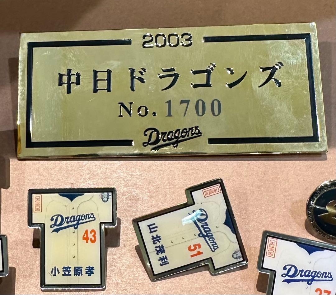 【球春到来】中日ドラゴンズ 2003年あの頃のメンバー　記念ピンバッジ