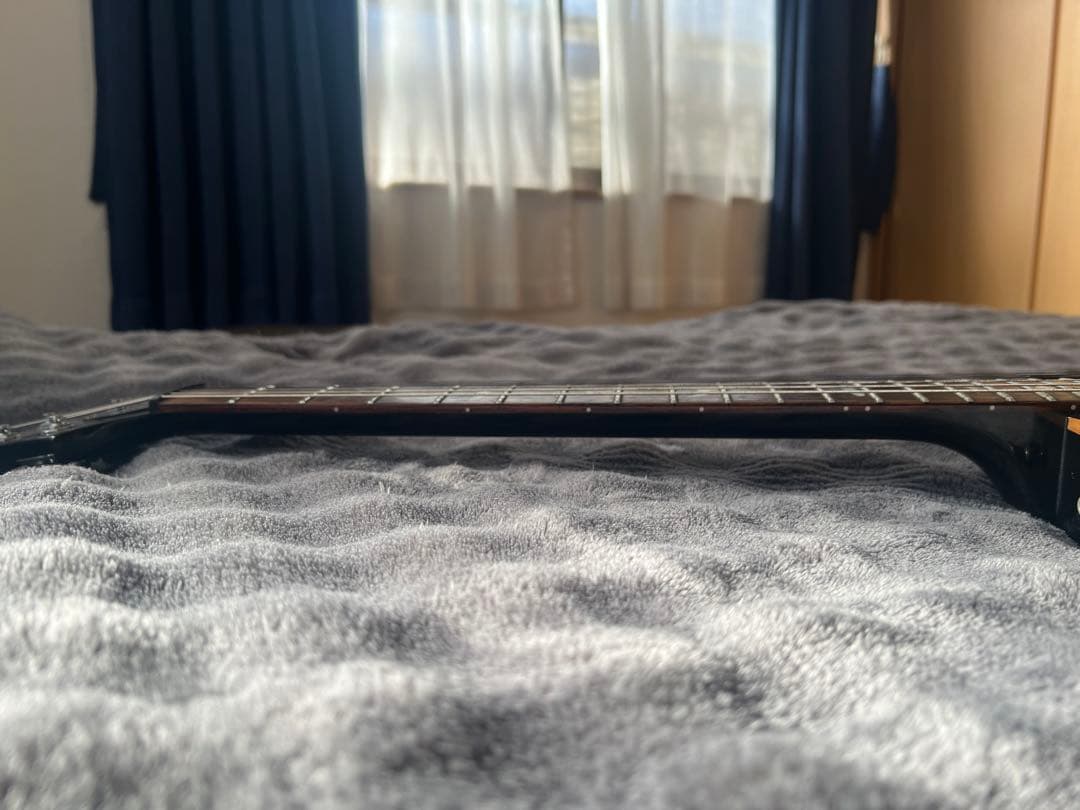PRS SE Mark Tremonti Custom エレキギター