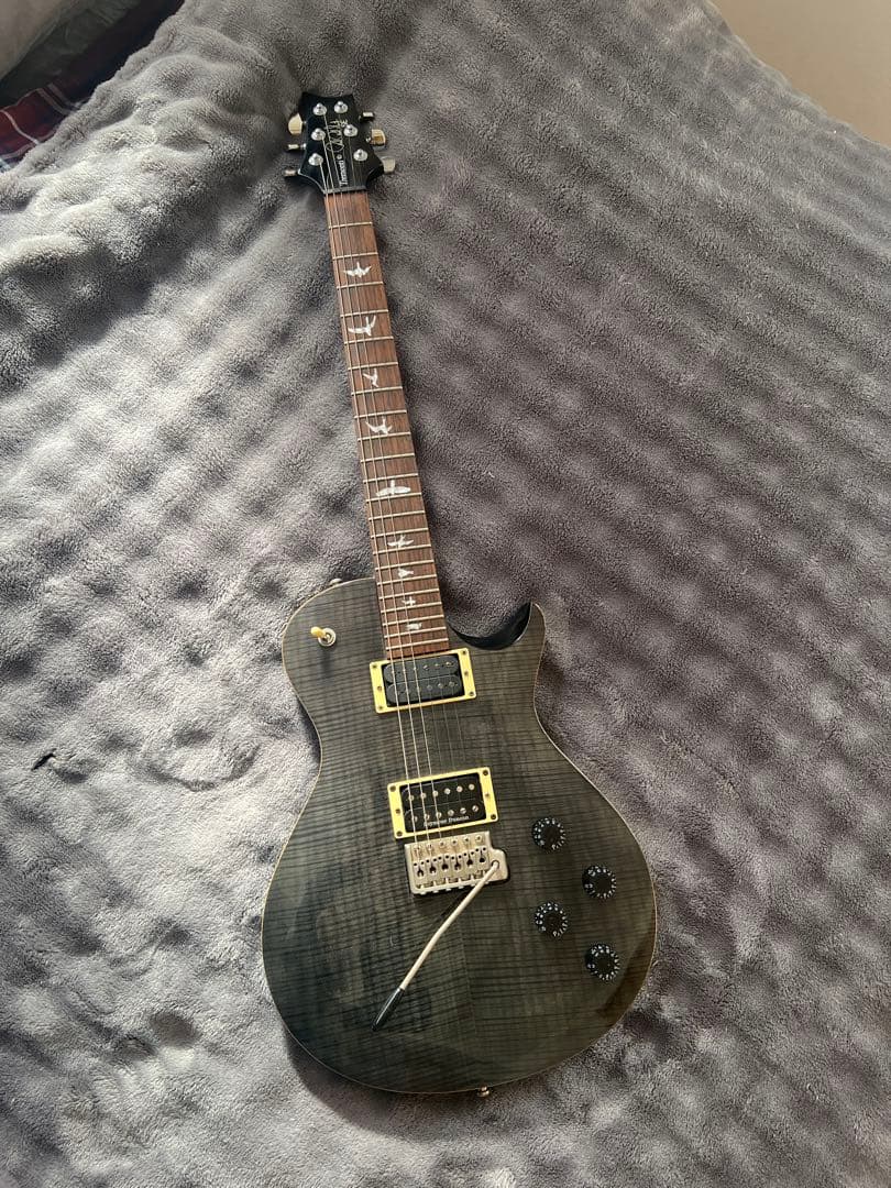 PRS SE Mark Tremonti Custom エレキギター