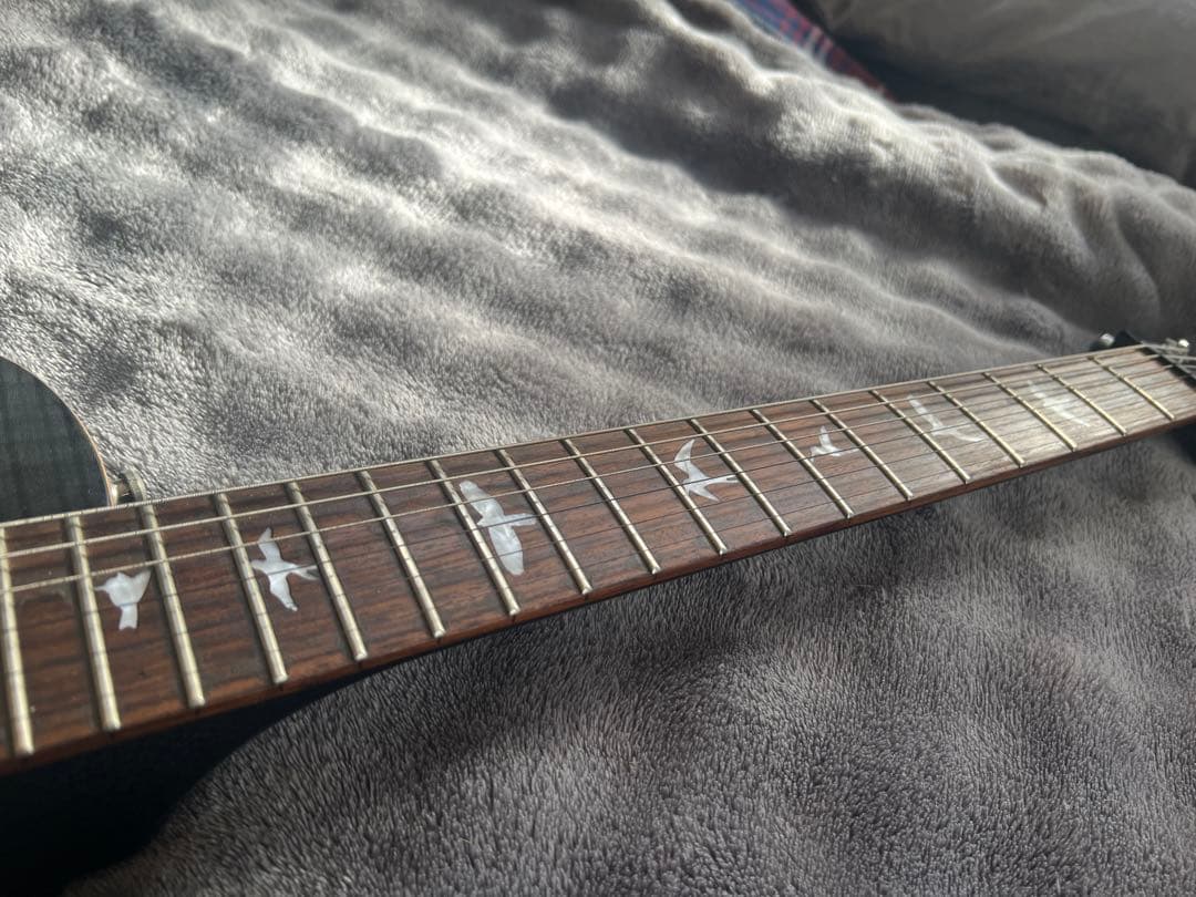 PRS SE Mark Tremonti Custom エレキギター