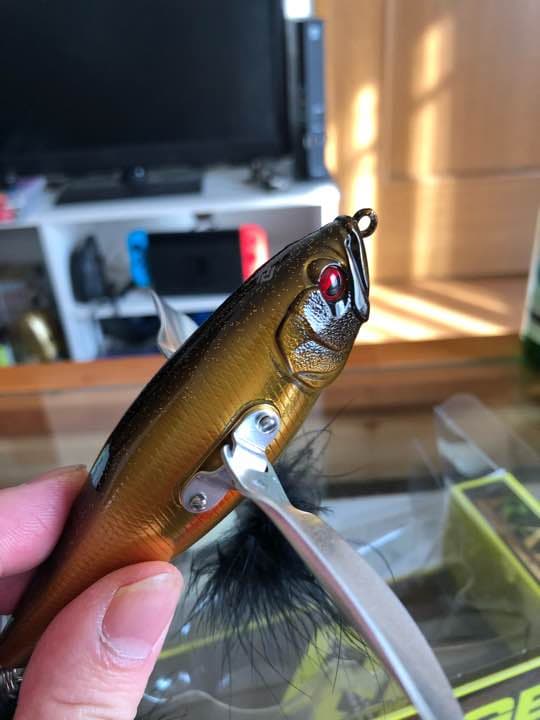 ダッジ RAIDJAPAN