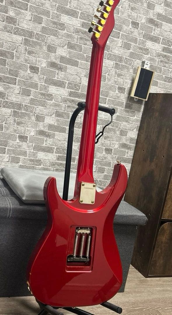 Fernandes LA-85kk L'Arc〜en〜Ciel ken