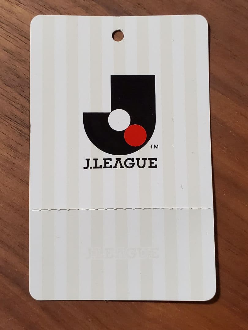 松本山雅　ダウンコート　Lサイズ