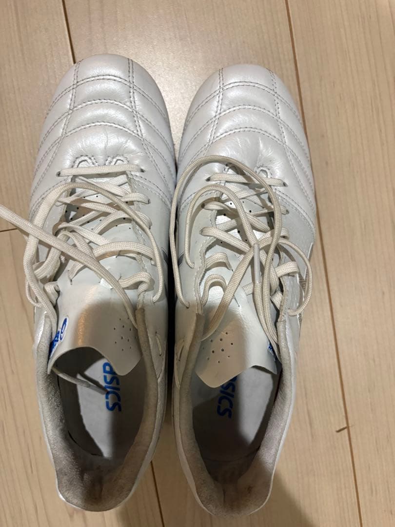 アシックス DS LIGHT ADVANCE