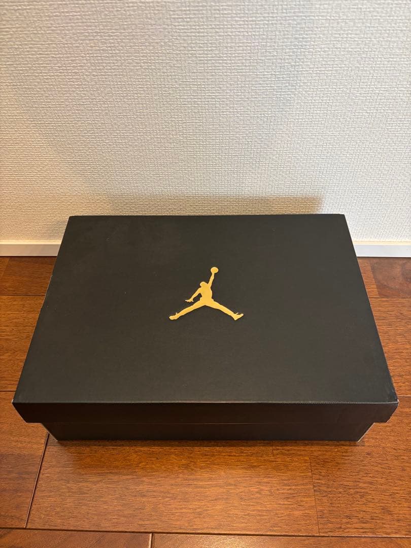 Nike Air Jordan 1 赤黒 10 US \"Bred\"