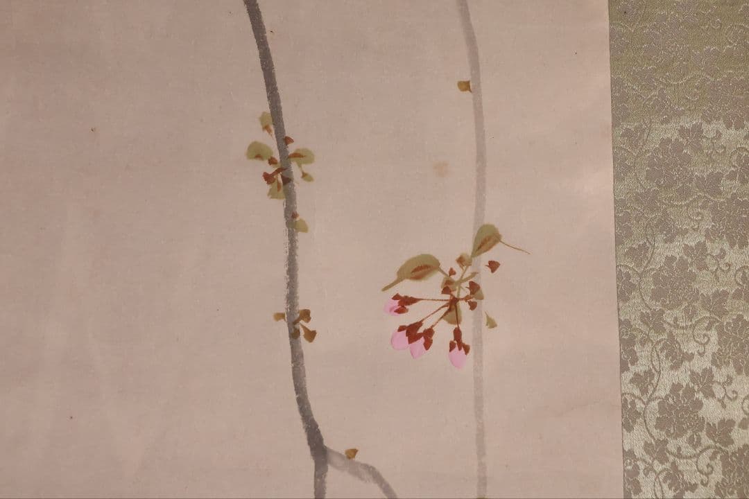 【模写】日本画 山口玲熈 桜の図 紙本 掛軸 師：菊池芳文 菊池契月 MB325