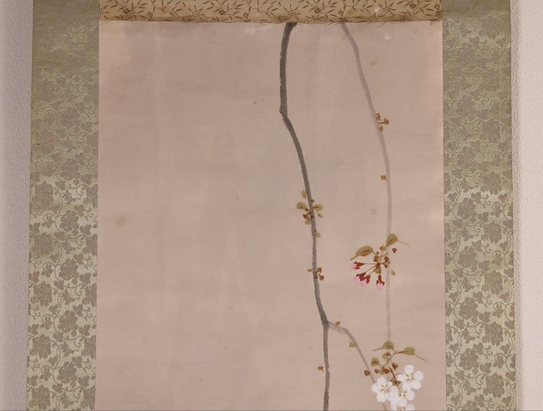【模写】日本画 山口玲熈 桜の図 紙本 掛軸 師：菊池芳文 菊池契月 MB325