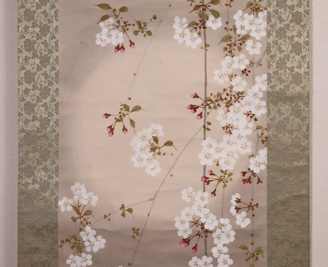【模写】日本画 山口玲熈 桜の図 紙本 掛軸 師：菊池芳文 菊池契月 MB325
