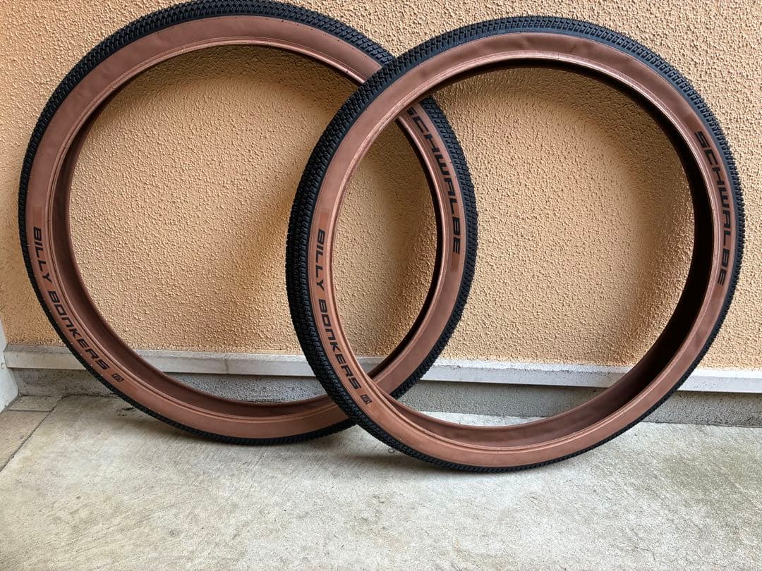 SCHWALBE シュワルベ 26インチ タイヤ