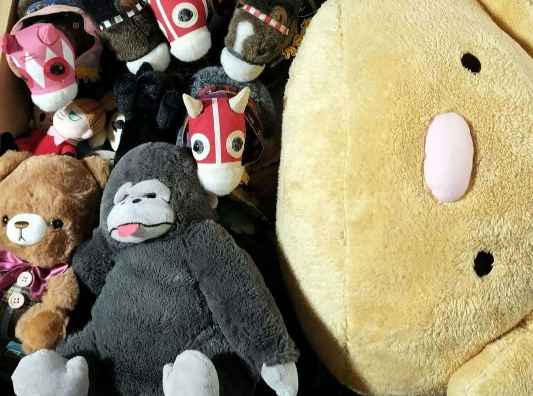大量 まとめ売り ぬいぐるみ アニメ キャラクター ノンジャンル 箱いっぱい