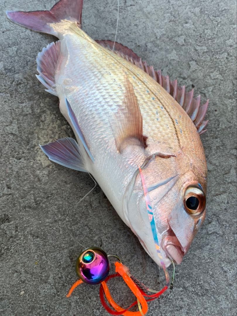 タイラバ　鯛ラバヘッド　鯛ラバ　タングステンシンカー　30g5個