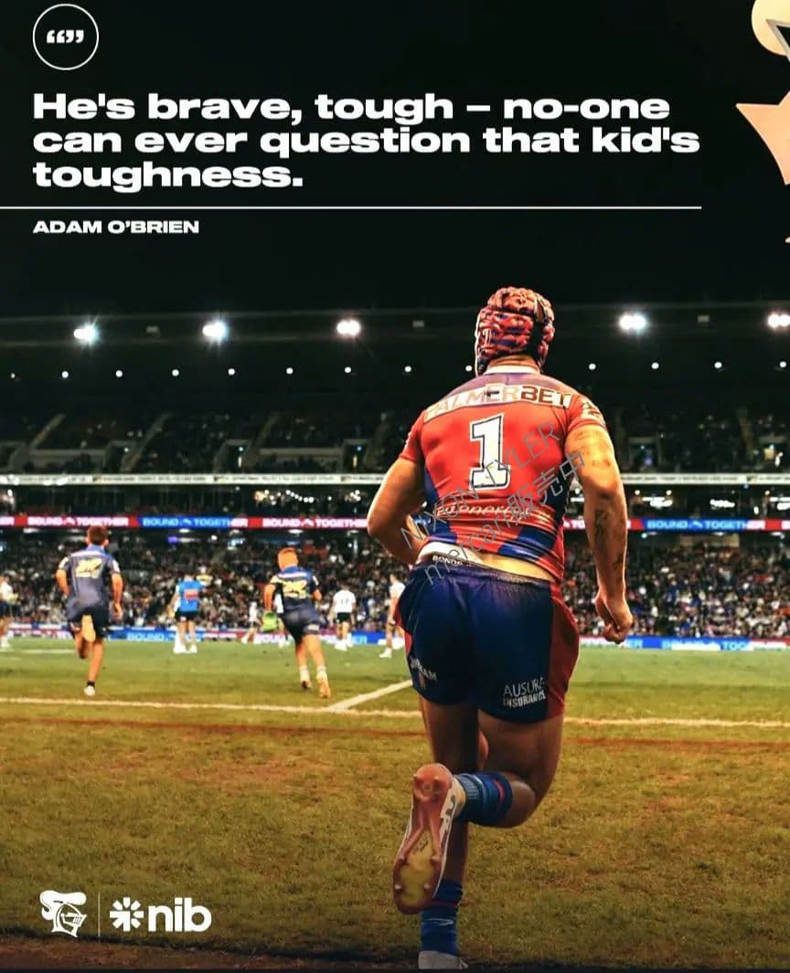 【海外Ｌサイズ】NRL ニューカッスル・ナイツ 24 ホーム・ジャージ