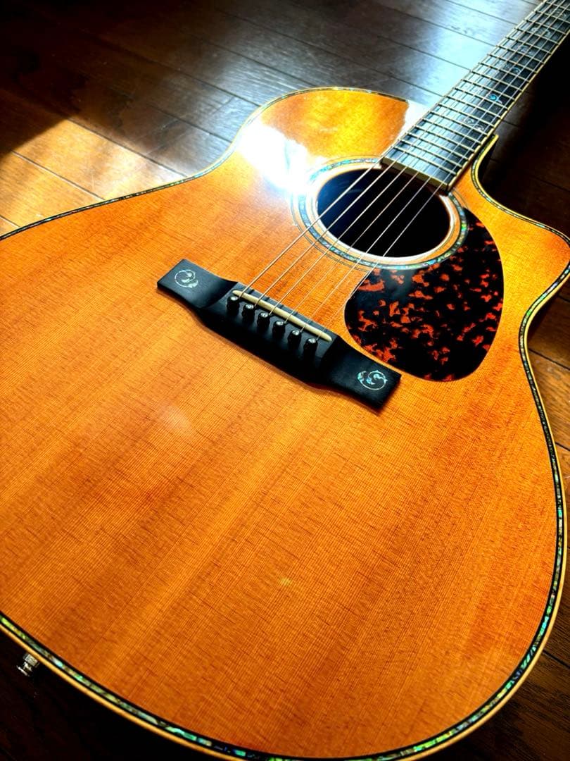 ギター Larrivee LV-10MR