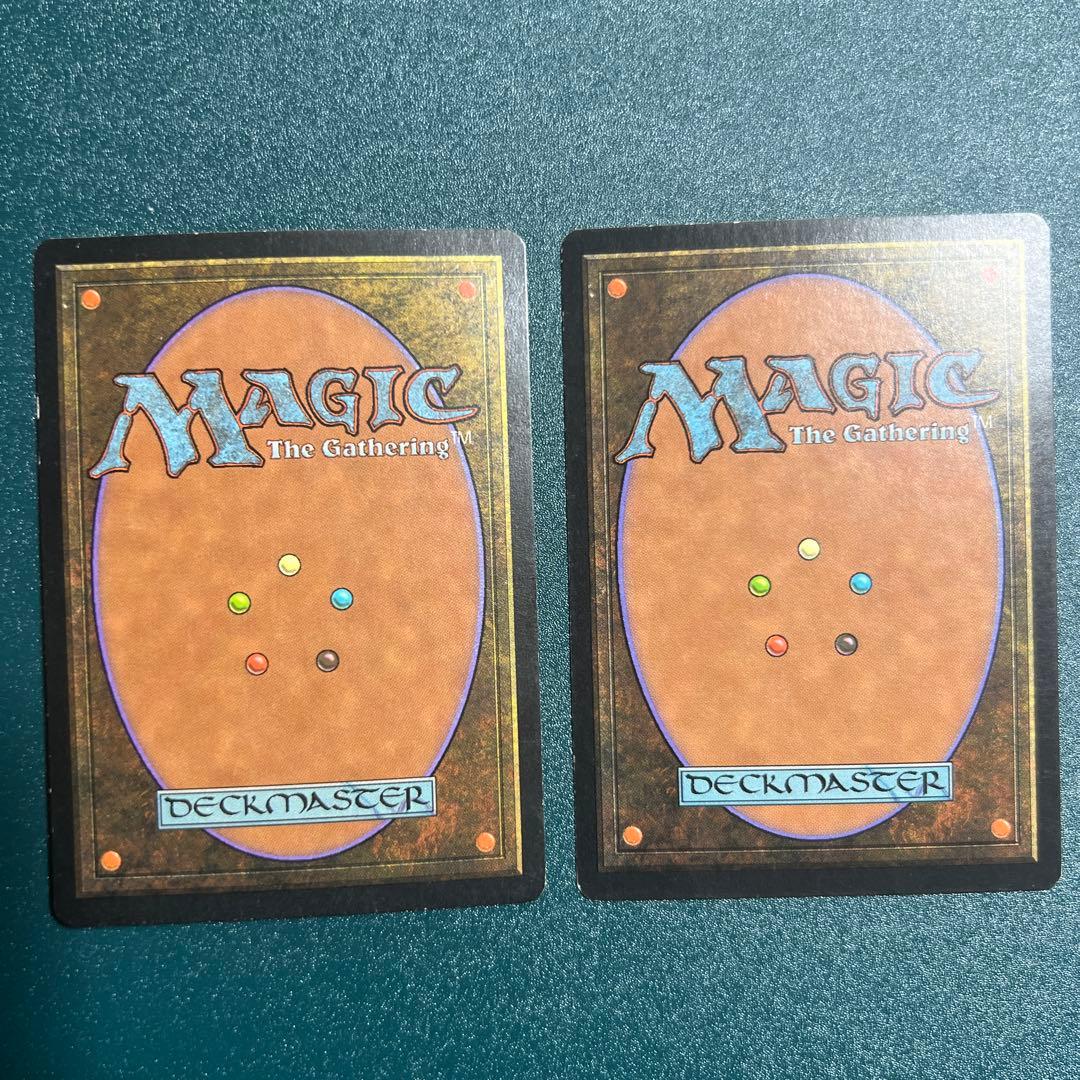 MTG 不毛の大地 日本語 2枚 テンペスト