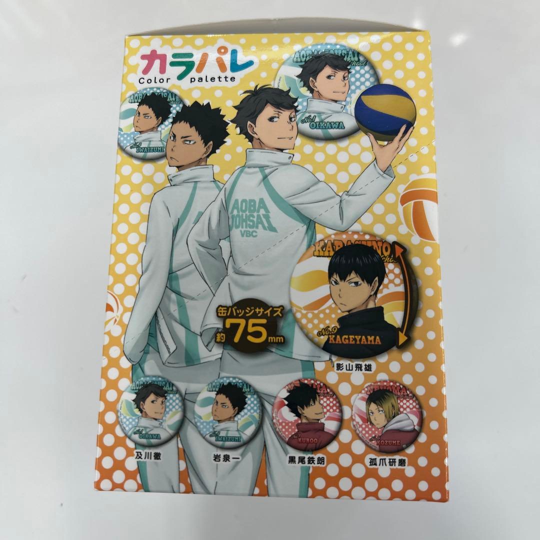 【新品未開封】ハイキュー!! カラパレ 振り向き缶バッジ 5箱（計50点）