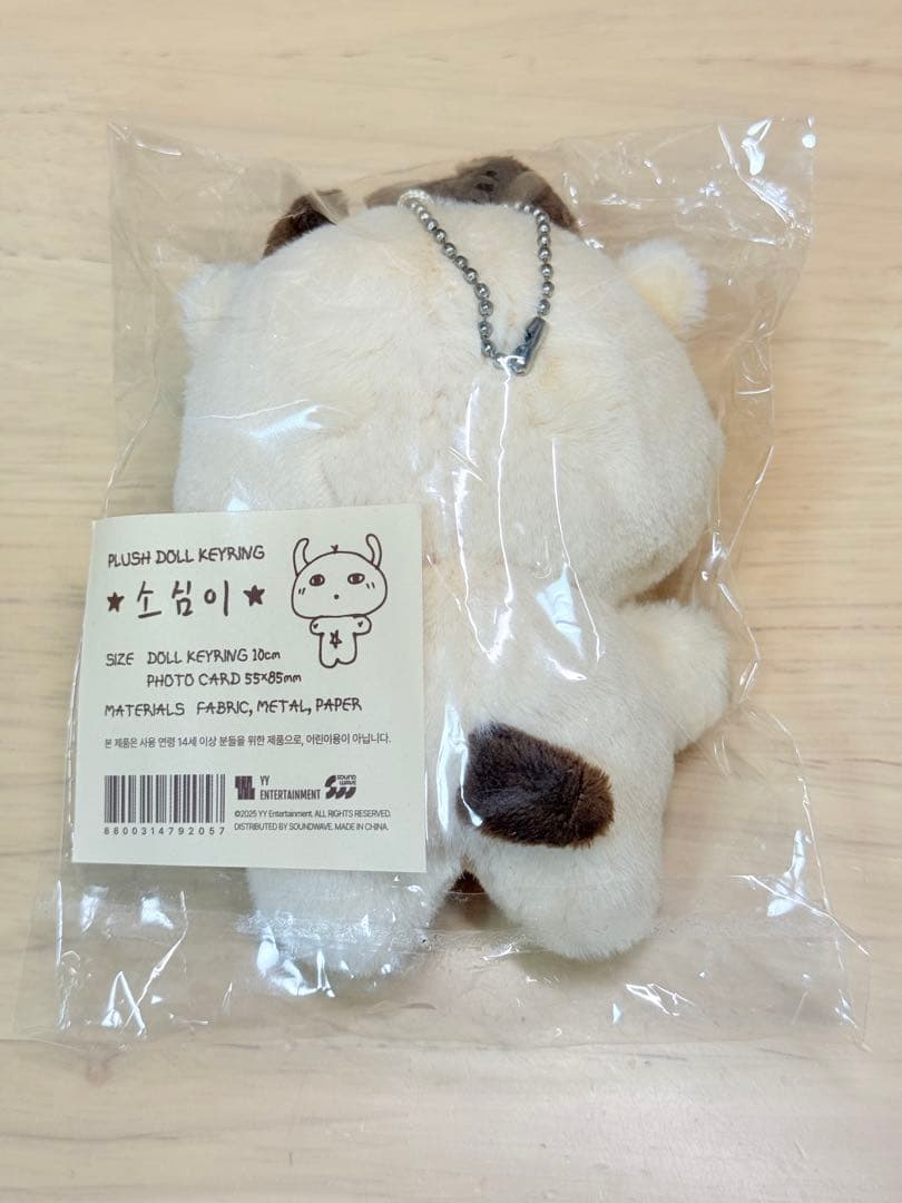 パクジフン キーホルダー ぬいぐるみ PLUSH DOLL KEYRING