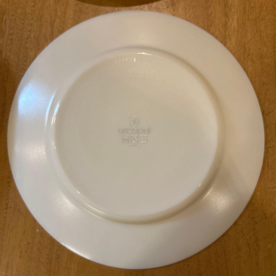 Vintage ARCOPAL Floride France Salad 6枚