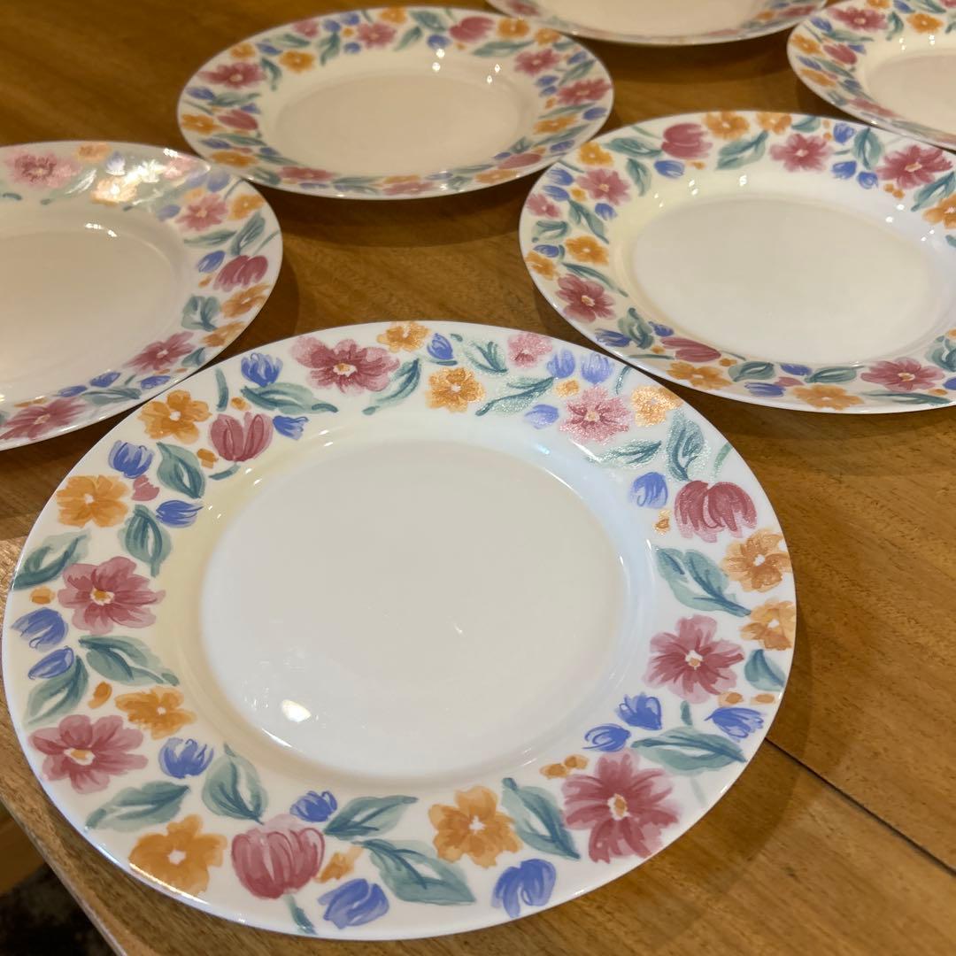 Vintage ARCOPAL Floride France Salad 6枚