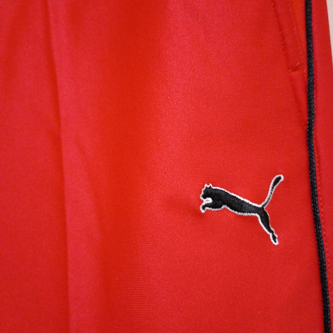 Puma ゴルフパンツ レッド
