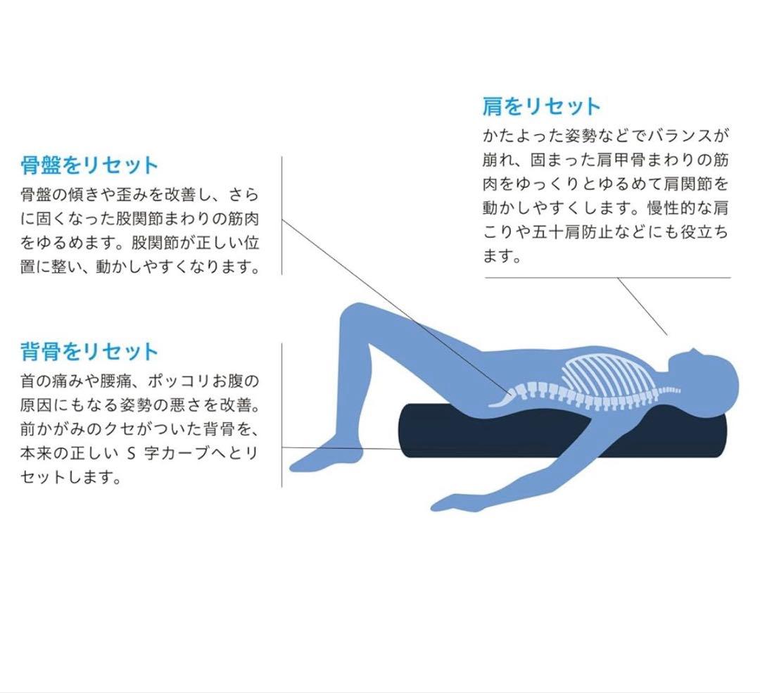 【正規品】LPN ストレッチポール StretchPole EX ネイビー