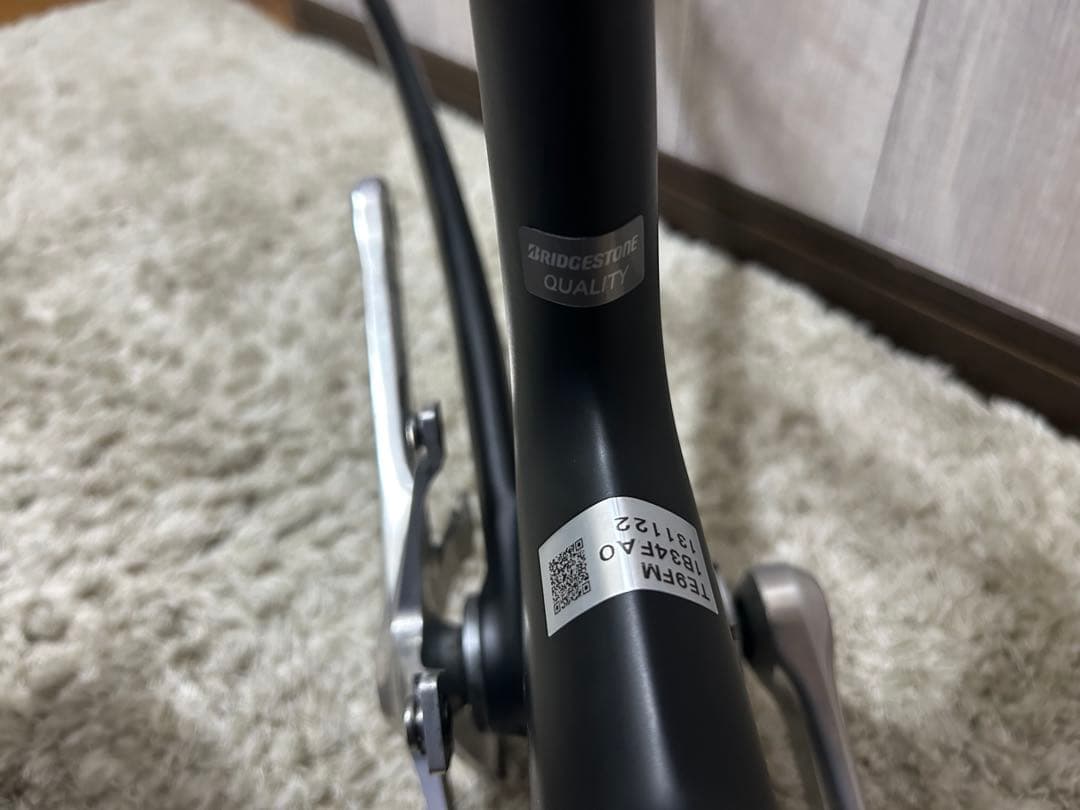 BRIDGESTONE ANCHOR TE9-Mサイズ　 フレームのみ