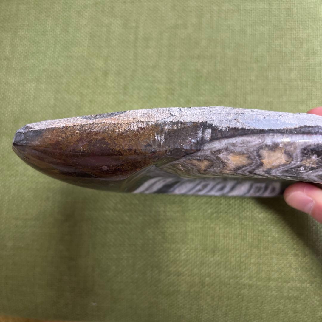【アンモナイト化石】