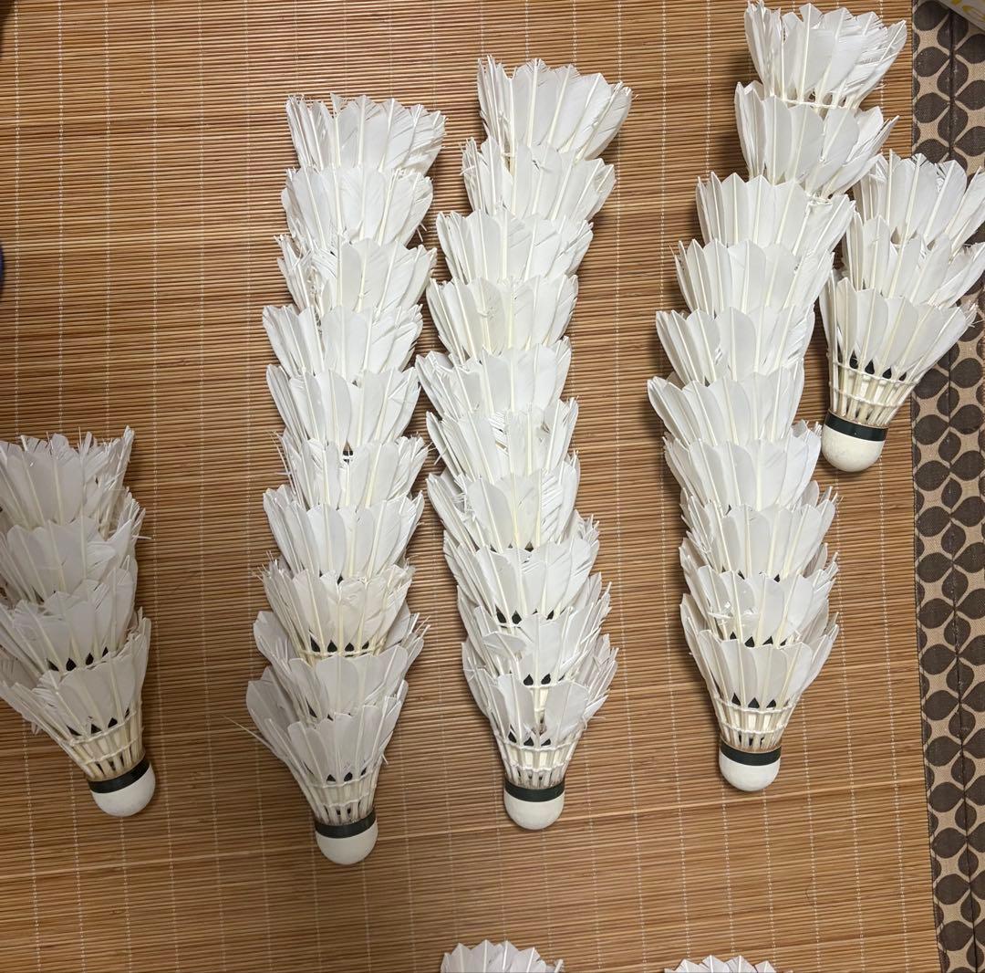 紅*が様 美品！ バドミントンシャトル　ニューオフィシャル他