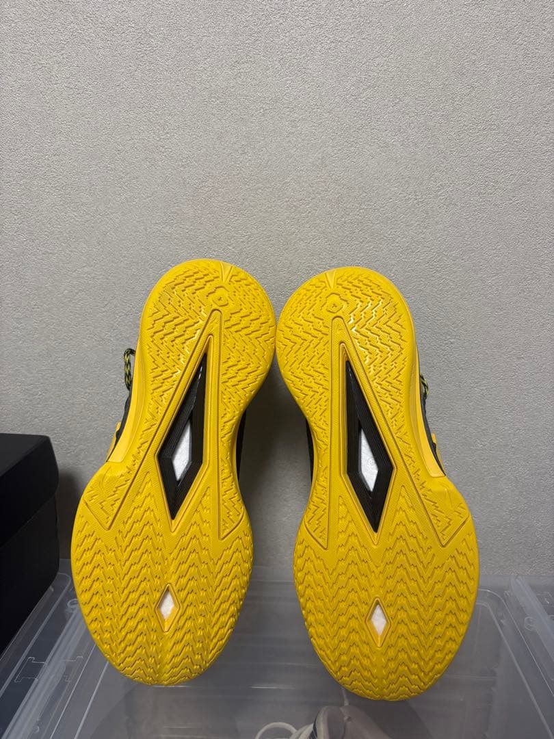 wade flash2 バッシュ
