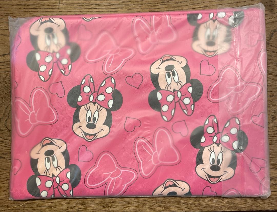 Disney ミニーマウス マルチケース Lサイズ　ミニービニールポーチ付き