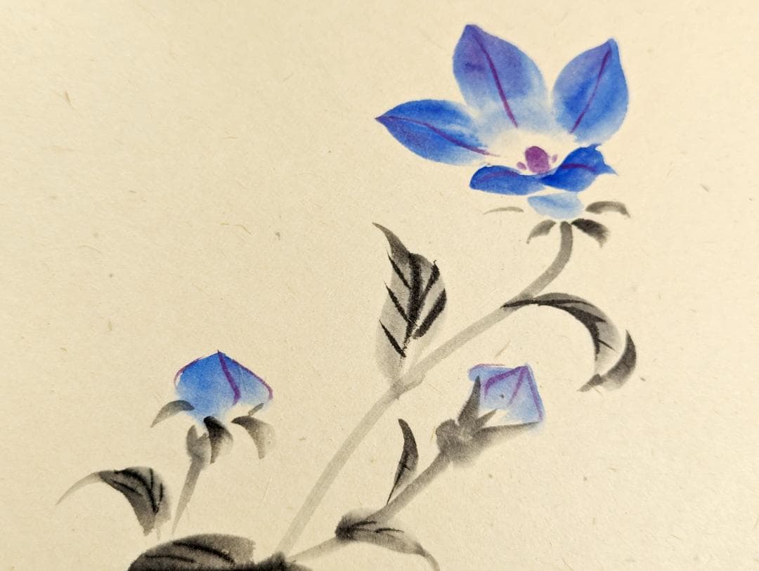 浜田松陽 掛軸 四季草花 4幅セット 桐箱付 花鳥画 茶掛け 掛軸まとめ売り