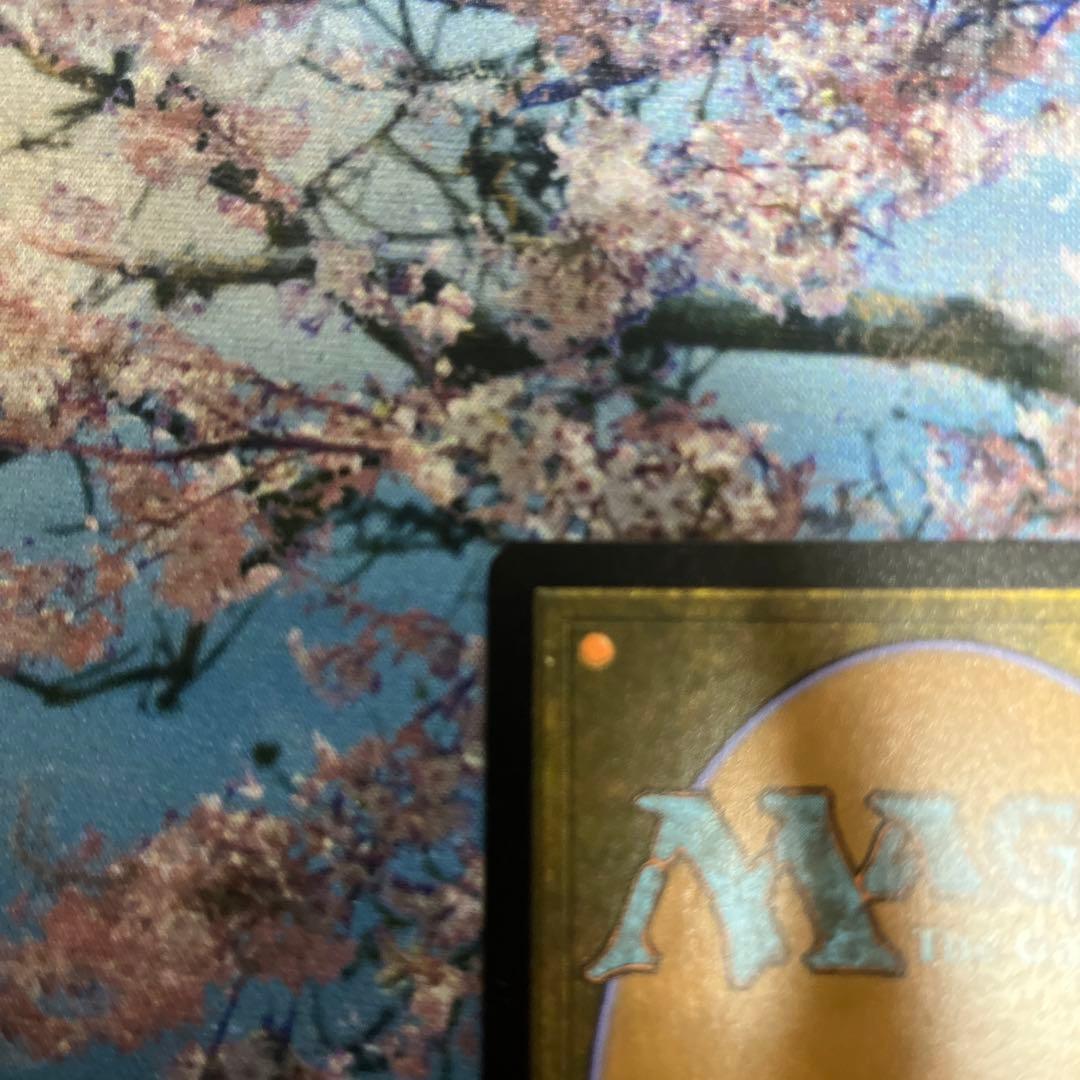 MTG 草むした墓 英語版 ギャラクシーfoil