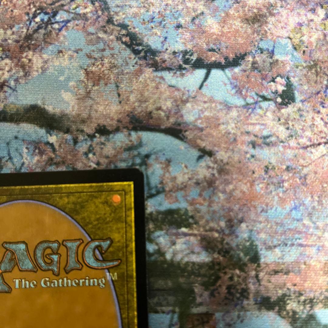 MTG 草むした墓 英語版 ギャラクシーfoil