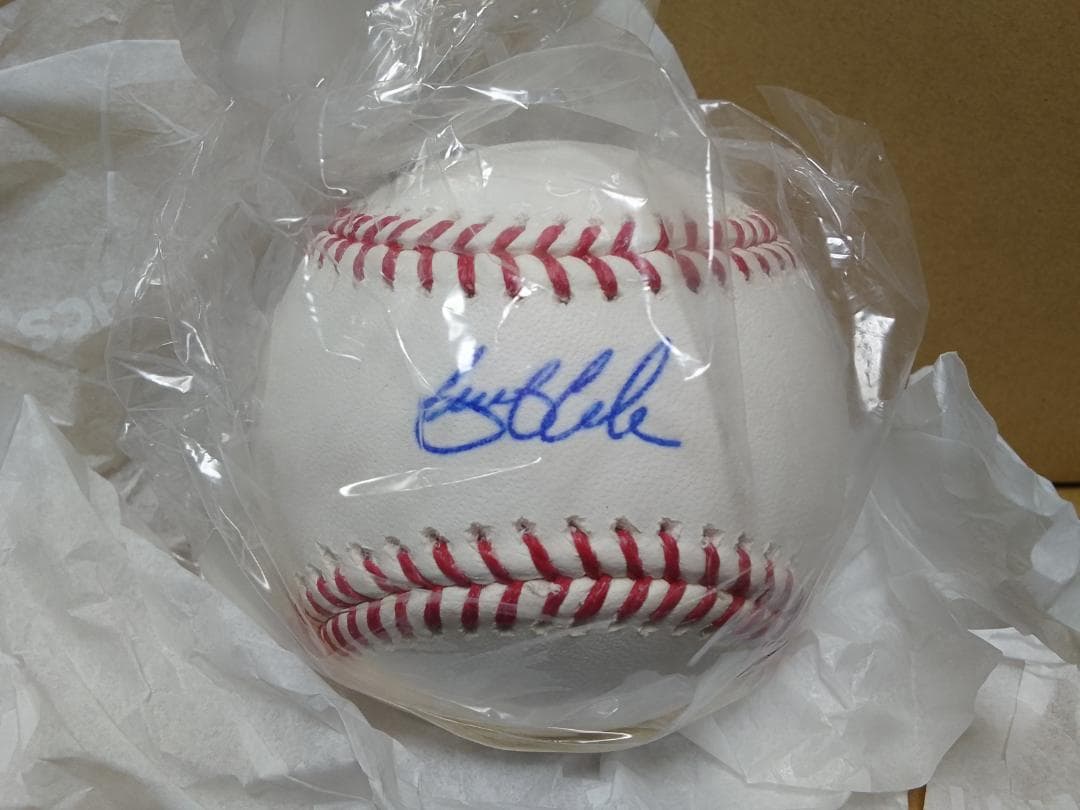 ヤンキース ゲリット・コール 直筆サインボール MLB公式購入 大谷WBC