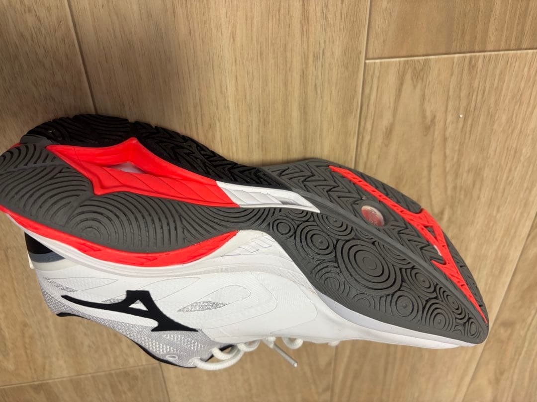 【値上げ中！】Mizuno WAVE FANG2 バドミントンシューズ 25cm