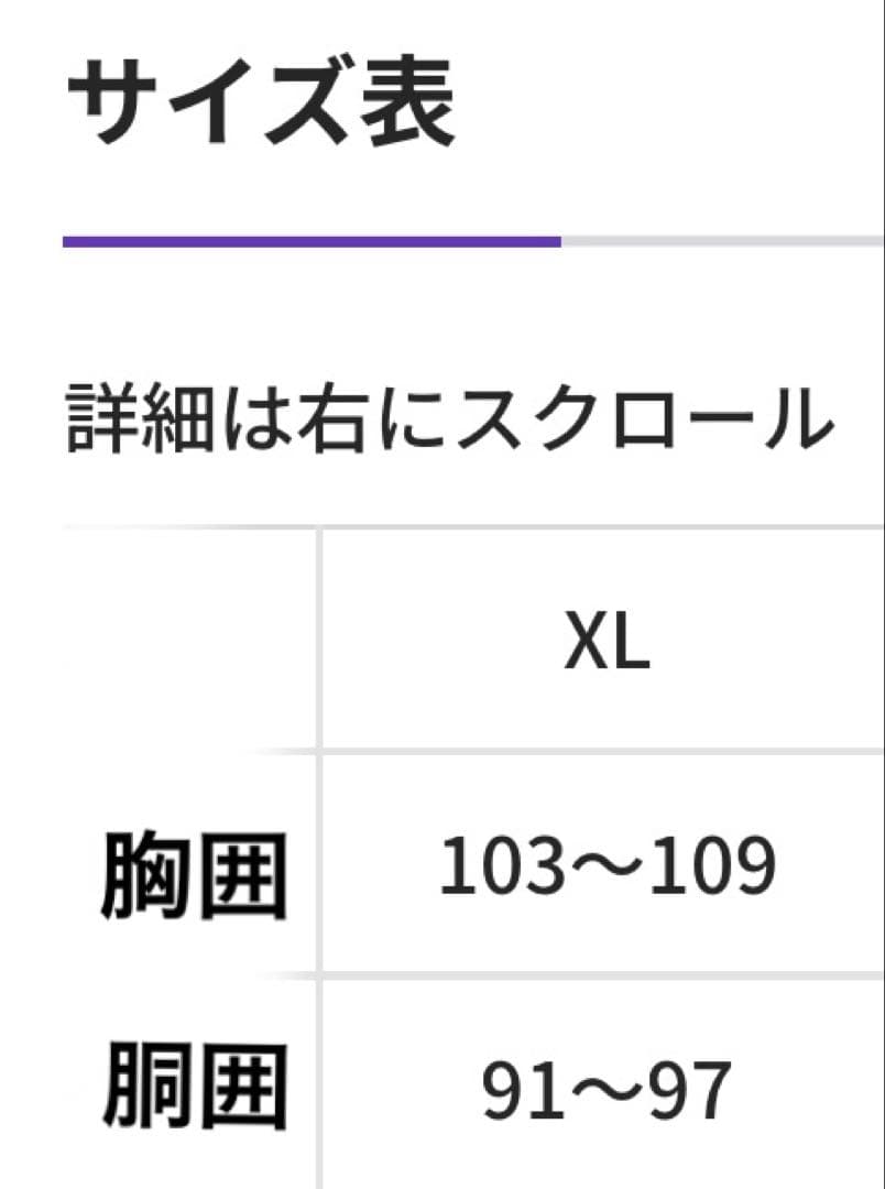 サンフレッチェ広島　スペシャルユニフォーム　XLサイズ