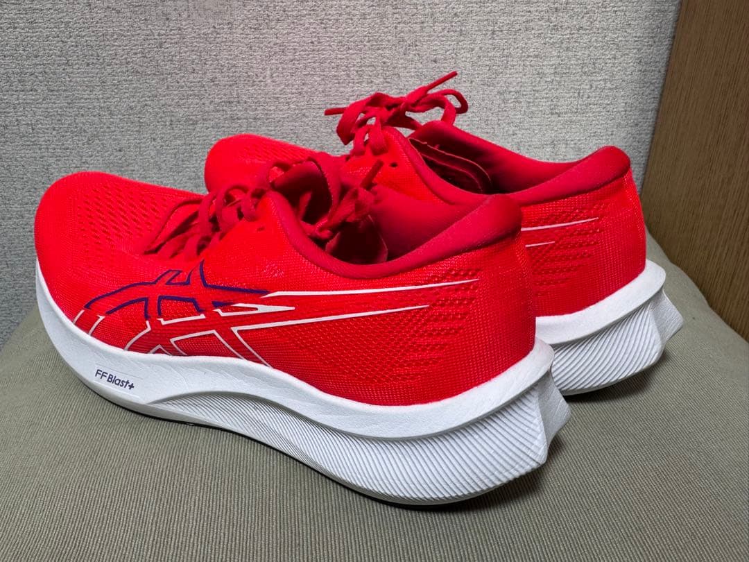 asics エボライドスピード３ワイド 25cm
