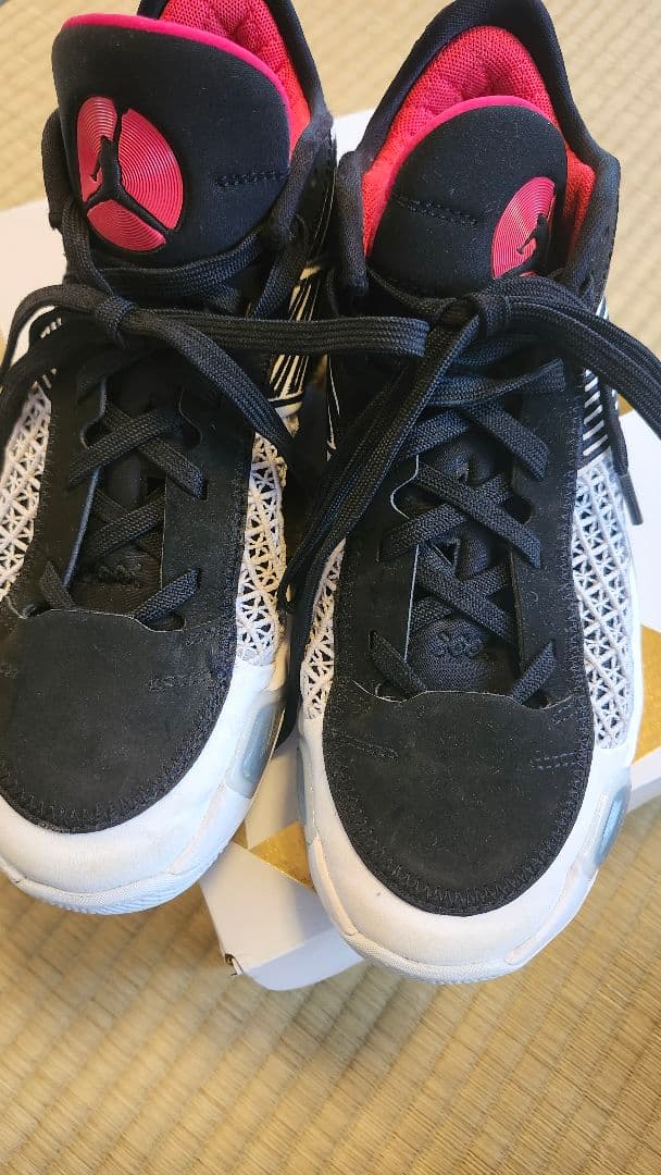 Jordan バッシュ エア ジョーダン XXXVIII LOW PF　25㌢
