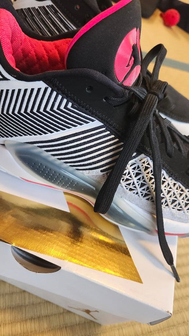 Jordan バッシュ エア ジョーダン XXXVIII LOW PF　25㌢