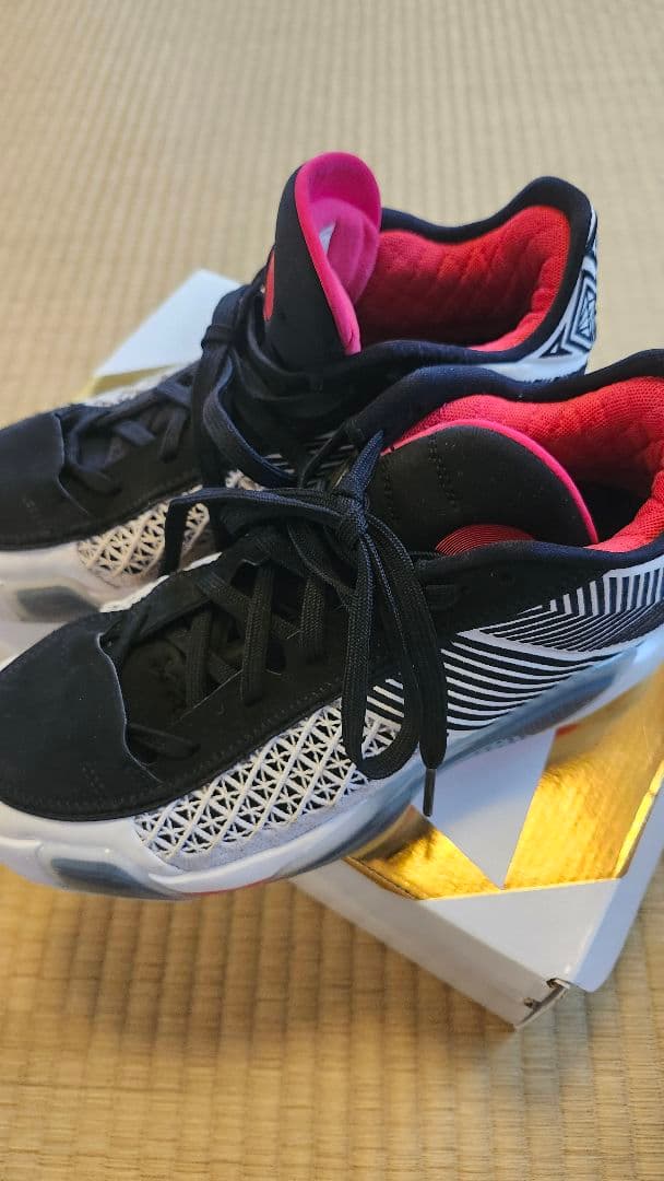 Jordan バッシュ エア ジョーダン XXXVIII LOW PF　25㌢