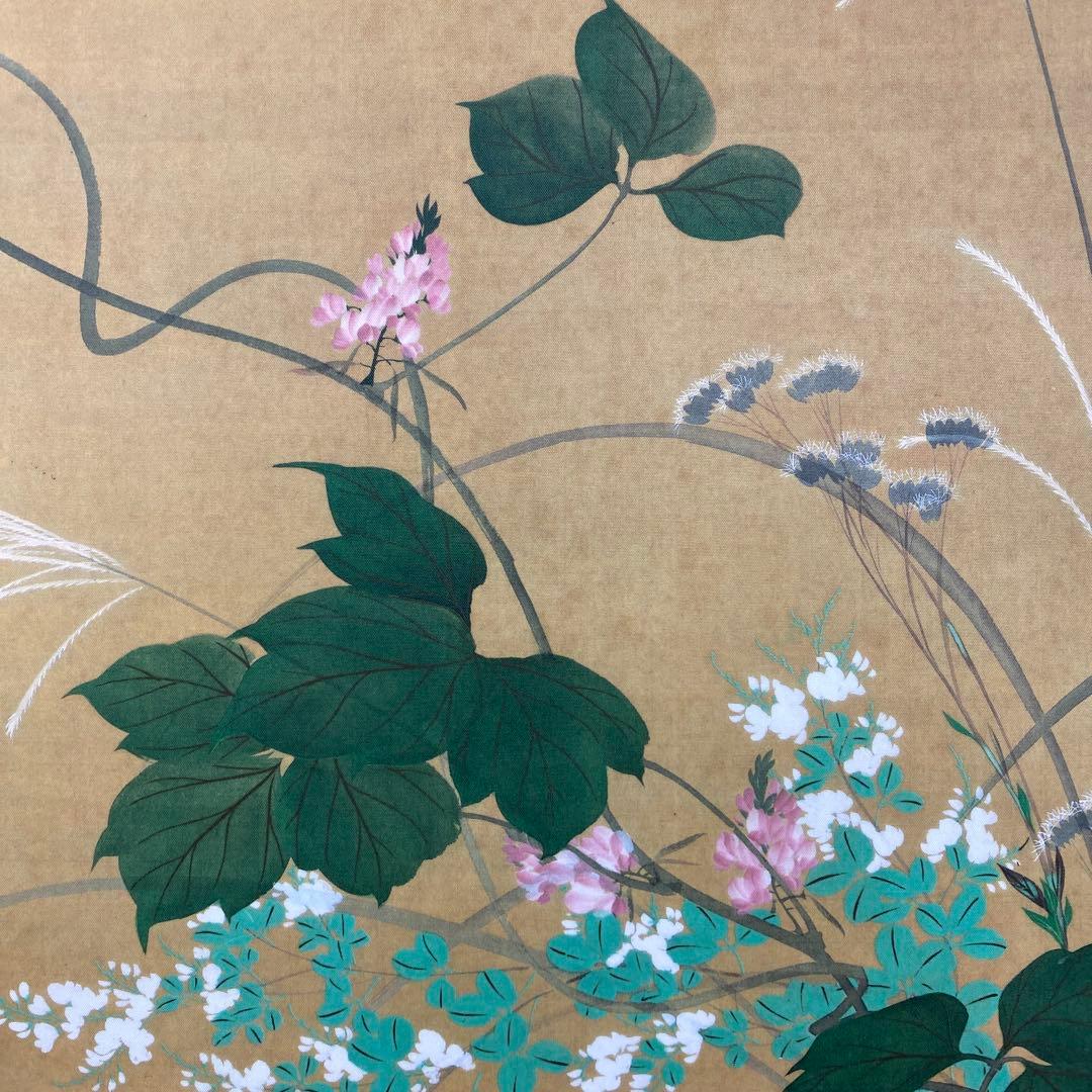 美品 掛け軸 酒井抱一筆 七草図 解説付き