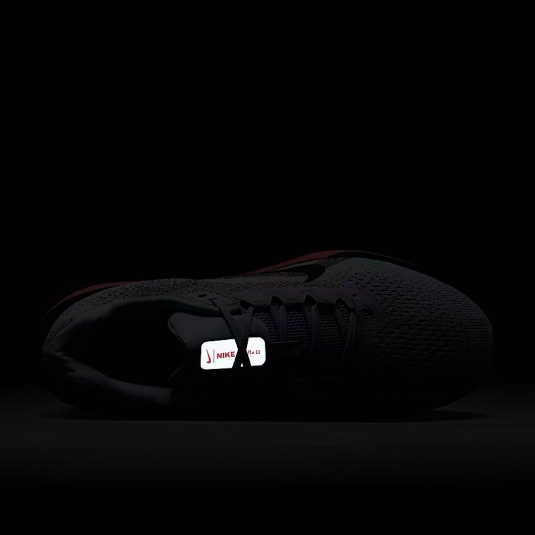 NIKE ナイキ　ウインフロー11 26cm ランニング