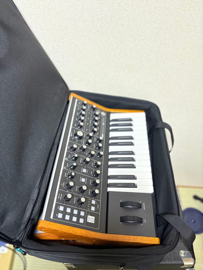 Moog Subsequent 25 ソフトケース