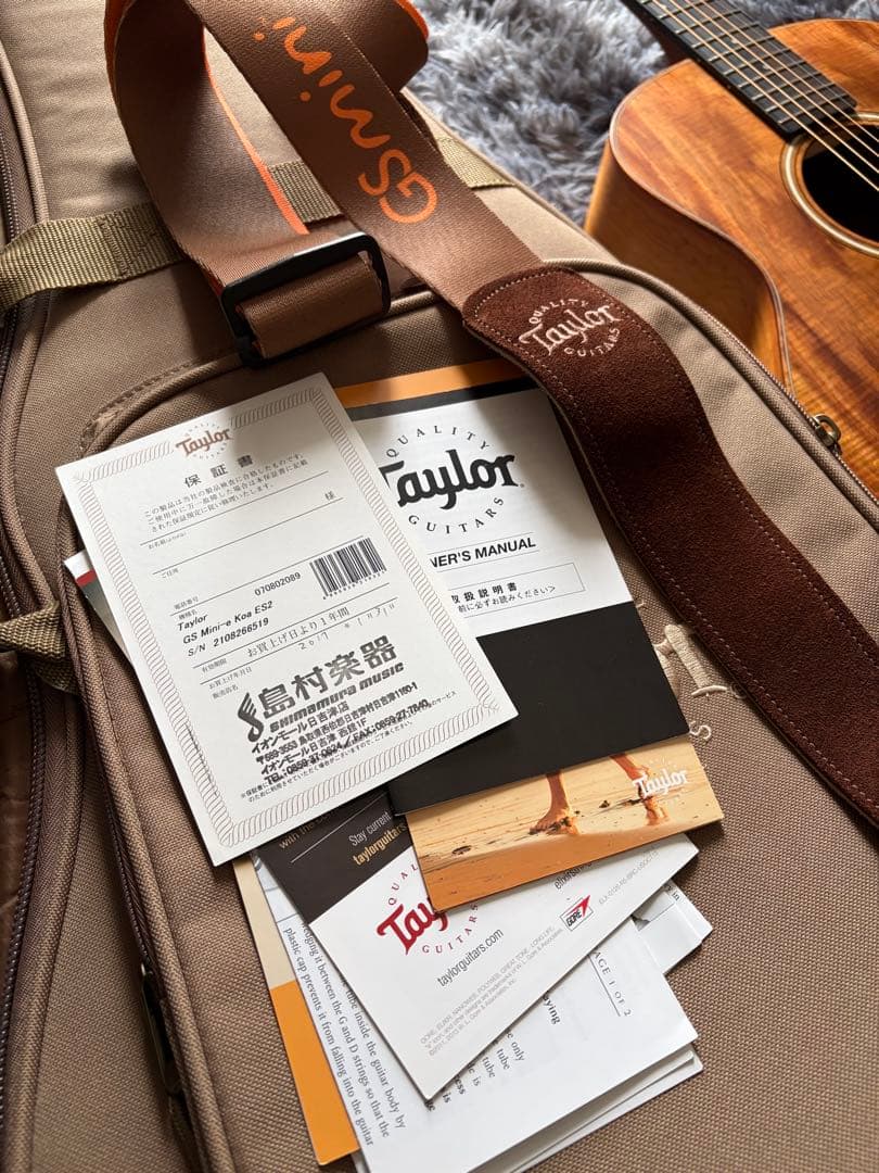 ギター Taylor GS Mini-e Koa ES
