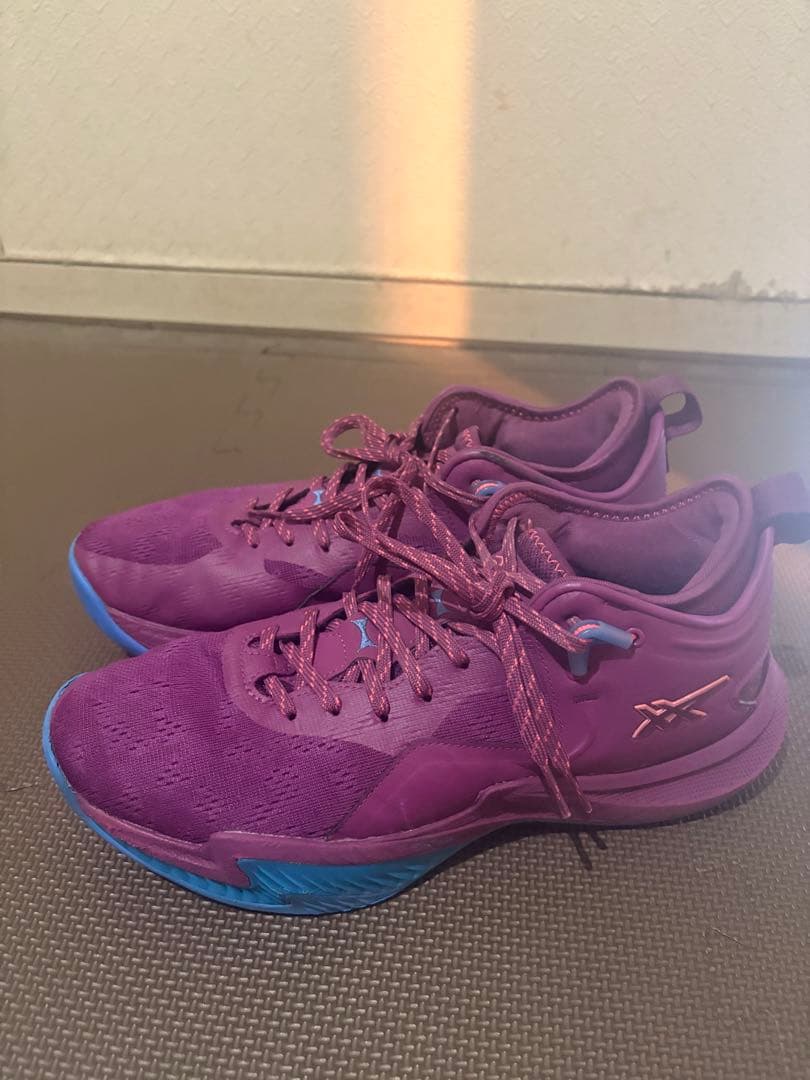 asics NOVA SURGE LOW 2 美品