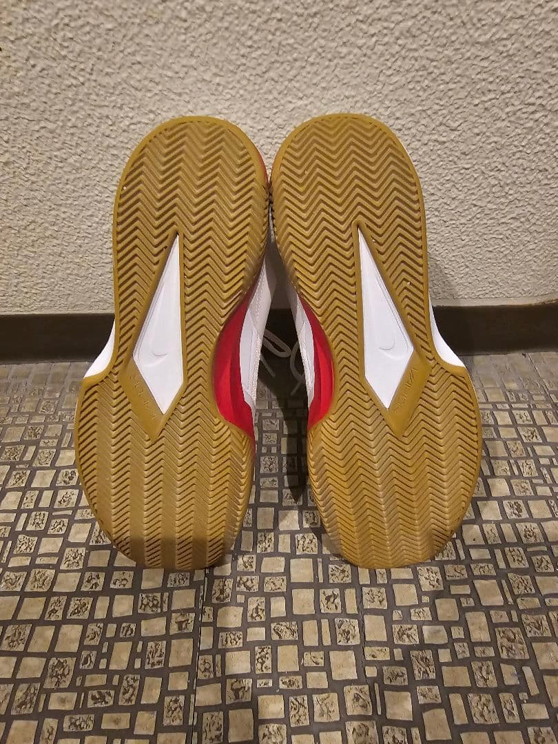 Nike Court Vapor Lite 26,5cm ナイキ テニスシューズ