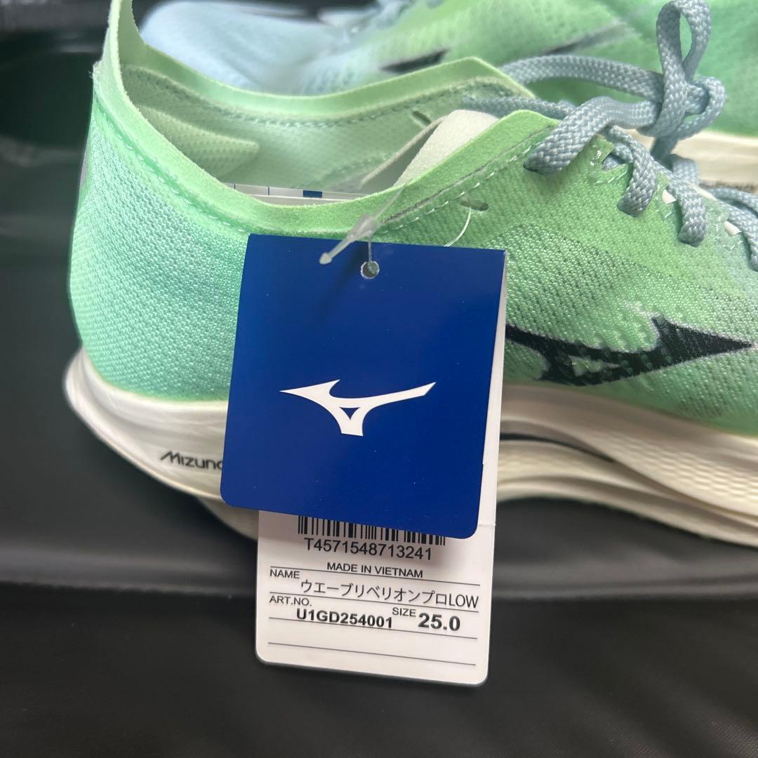 Mizuno ウェーブリベリオンプロ LOW 25.0cm