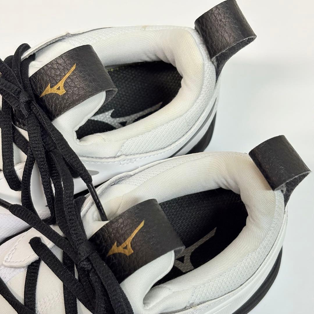 ミズノ　MIZUNO ウエーブモーメンタム 2 バレーボールシューズ　25cm