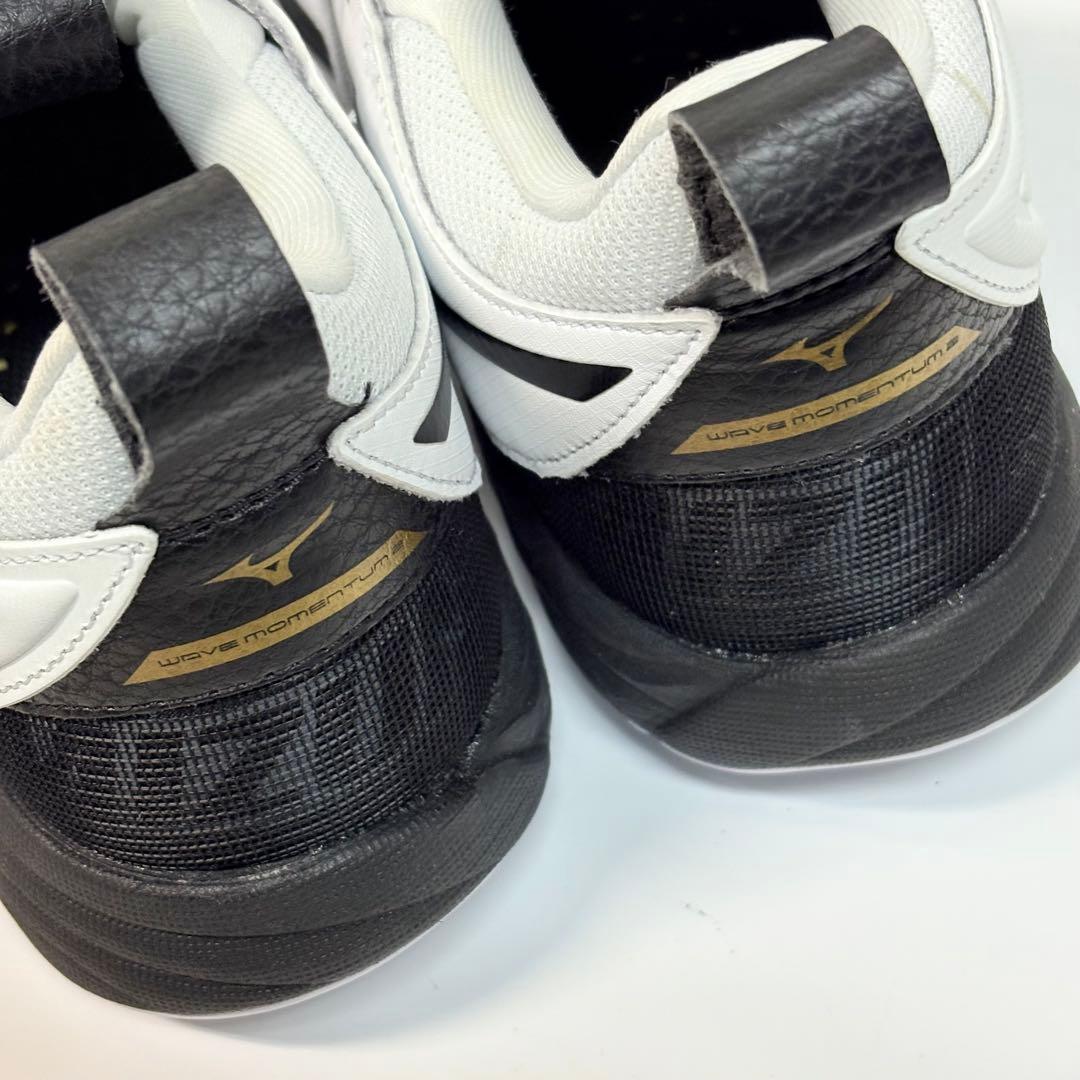 ミズノ　MIZUNO ウエーブモーメンタム 2 バレーボールシューズ　25cm