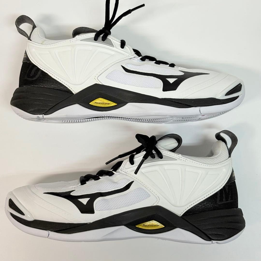 ミズノ　MIZUNO ウエーブモーメンタム 2 バレーボールシューズ　25cm